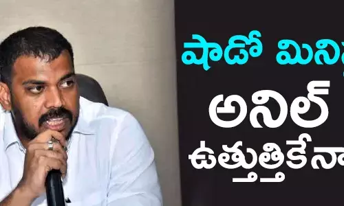 అనిల్ కుమార్ యాదవ్