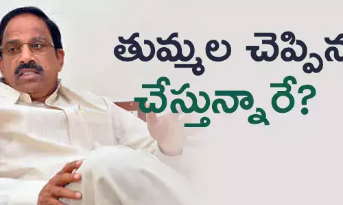 తుమ్మల నాగేశ్వరరావు