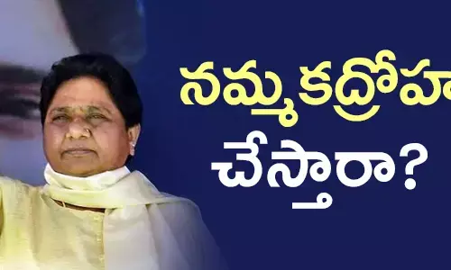 మాయావతి