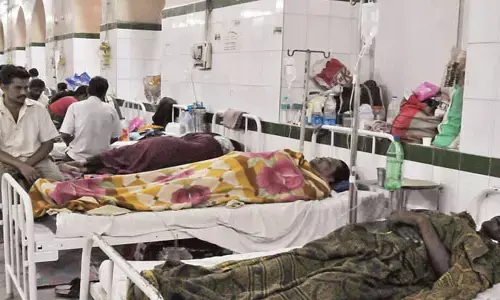 డెంగ్యూ