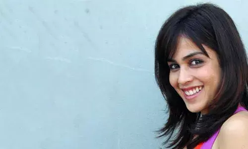 మెగా ఆఫర్ తో రీ ఎంట్రీ ఇస్తుందా?