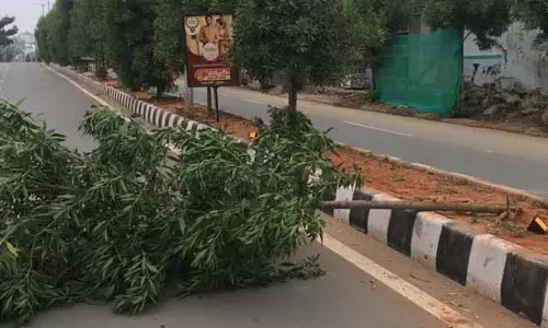 హరితహారం