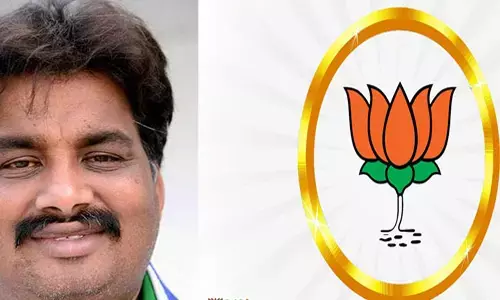 శ్రీకాళహస్తి నియోజకవర్గం