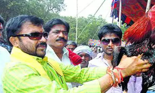 చింతమనేని ప్రభాకర్