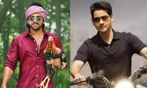 అల’ కన్నా ‘సరిలేరు’ కే క్రేజ్ ఎక్కువా?