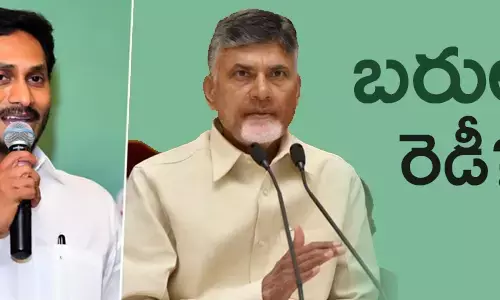 స్థానిక సంస్థల ఎన్నికలు
