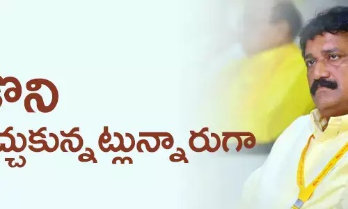గంటా శ్రీనివాస‌రావు