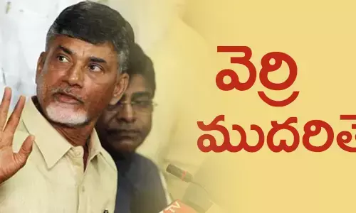 వెర్రి ముదిరితే...?