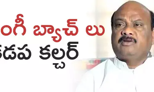 అయ్యన్న పాత్రుడు