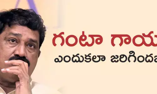 గంటా శ్రీనివాసరావు