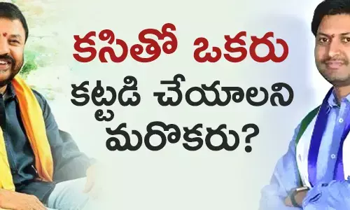 చింతమనేని ప్రభాకర్