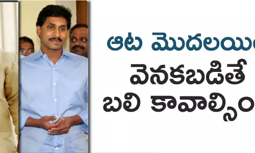 వైసీపీ