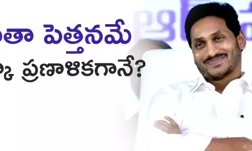 స్థానిక సంస్థలు
