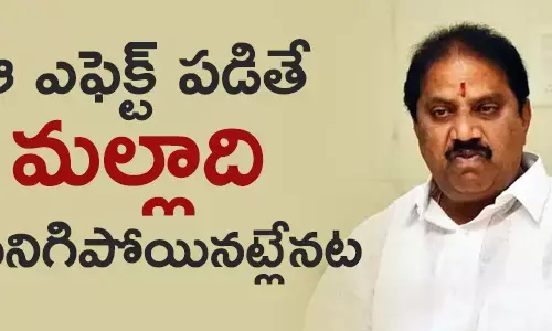 మల్లాది విష్ణు