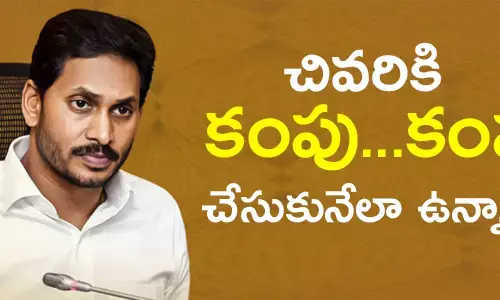 వైసీపీ