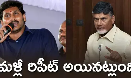 ఎన్నికలు