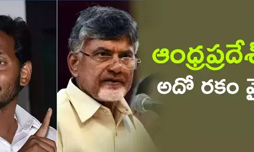 ఎన్నికలు