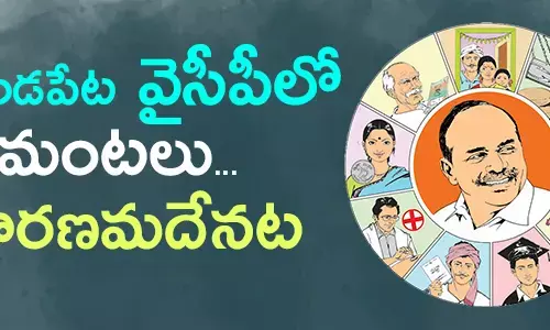 వైసీపీ