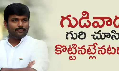 గుడివాడ అమరనాధ్