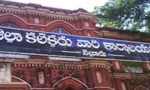 నెల్లూరు