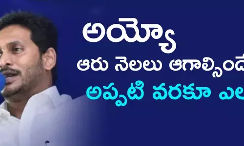 స్థానిక సంస్థల ఎన్నికలు