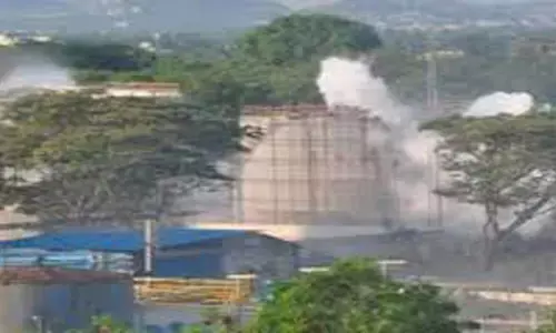 ఎల్జీ పాలిమర్స్