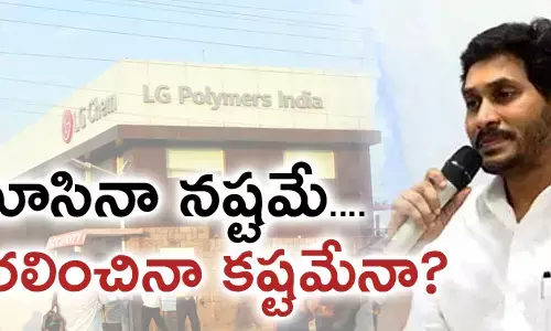 ఎల్. జి. కంపెనీ,