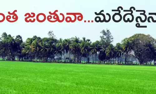 తూర్పు గోదావరి