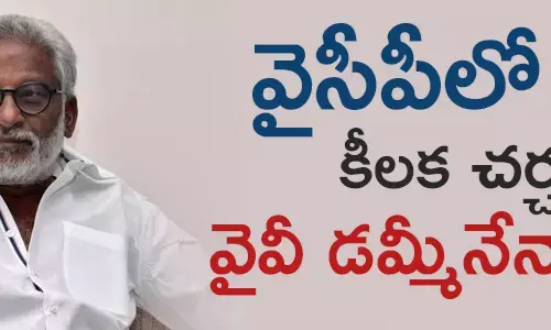 వైవీ సుబ్బారెడ్డి