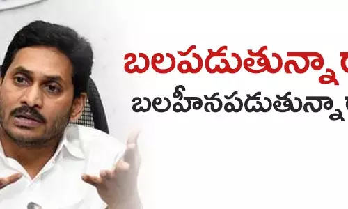 వైసీపీ