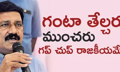 గంటా శ్రీనివాసరావు