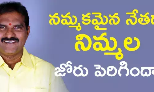 నిమ్మల రామానాయుడు