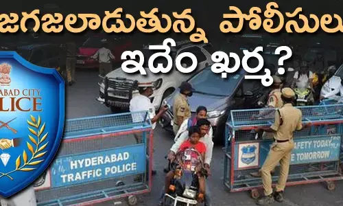 పోలీసులు