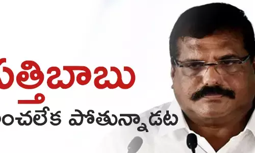 బొత్స సత్యనారాయణ