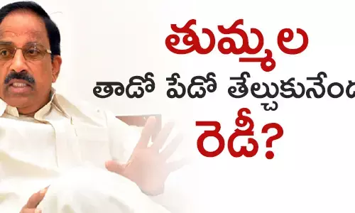 తుమ్మల నాగేశ్వర‌‌రావు