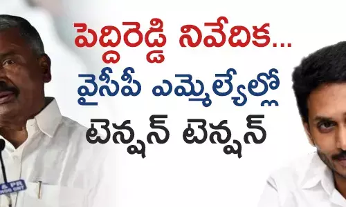 పెద్దిరెడ్డి