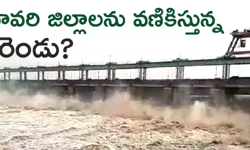 గోదావరి