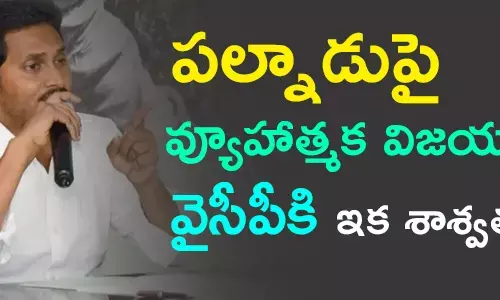 వైసీపీ