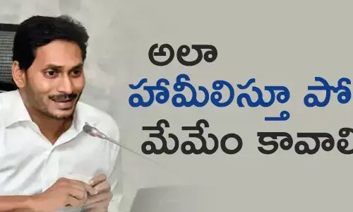 వైసీపీ
