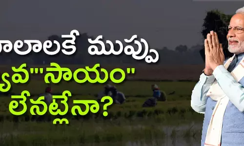 వ్యవసాయం