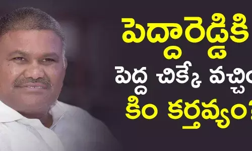 కేతిరెడ్డి పెద్దారెడ్డి