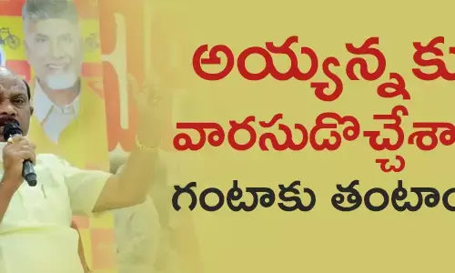 అయ్యన్నపాత్రుడు