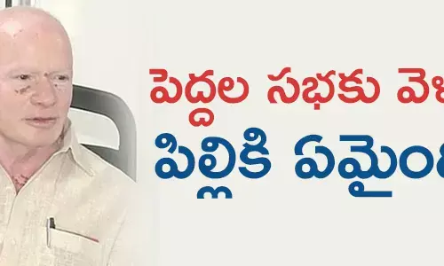 పిల్లి సుభాష్ చంద్రబోస్
