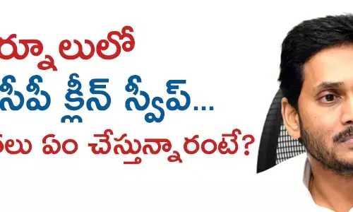 వైసీపీ