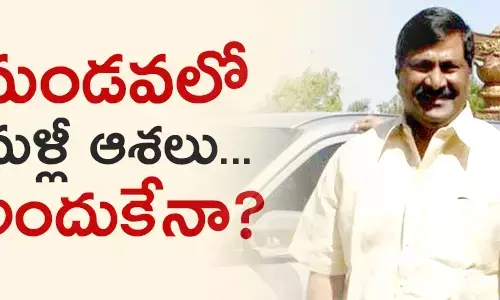 మండవ వెంకటేశ్వరరావు