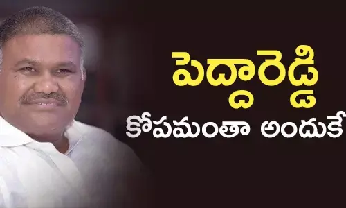 పెద్దిరెడ్డి