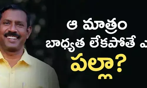 పల్లా శ్రీనివాసరావు