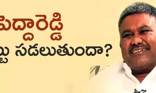 పెద్దారెడ్డి