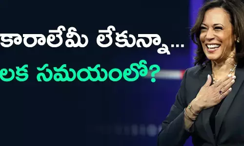 ఉపాధ్యక్షుడు