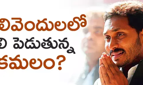 పులివెందుల